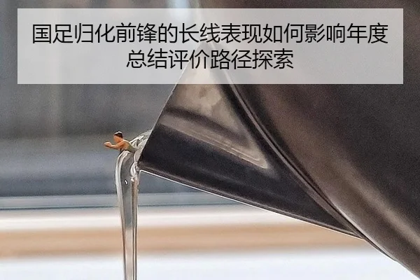 国足归化前锋的长线表现如何影响年度总结评价路径探索